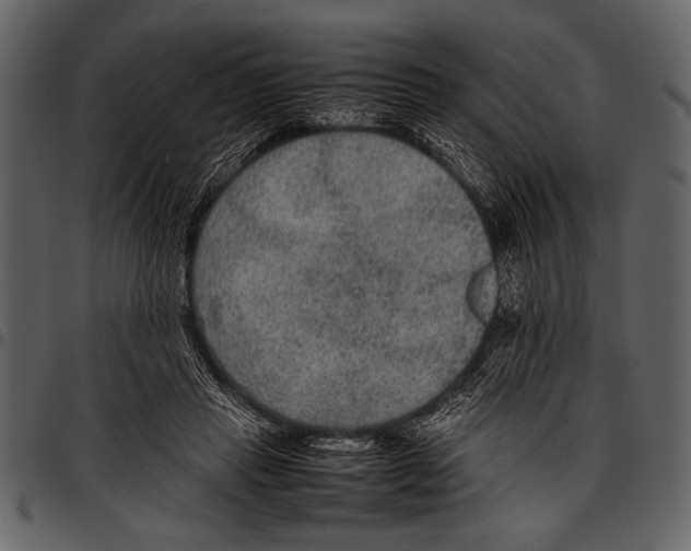 X0000097480453200803201513