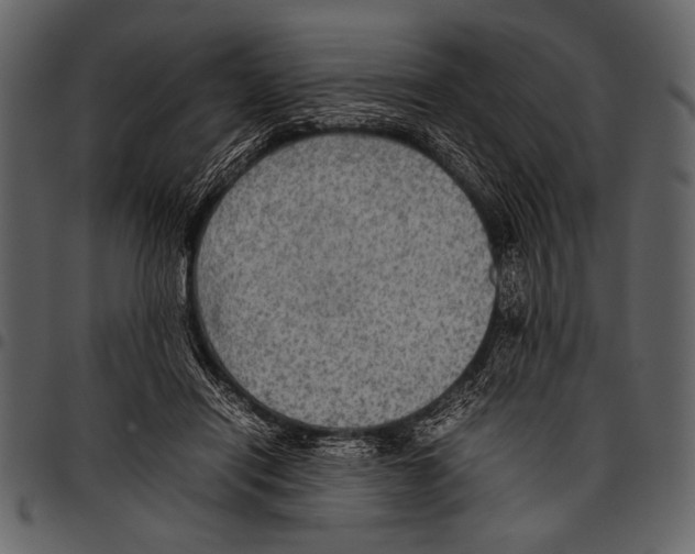 X0000097480454200803201513