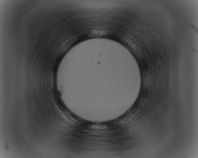 X0000097480455200803201513