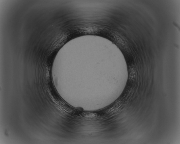 X0000097480456200803201513