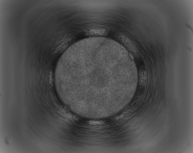 X0000097480457200803201513