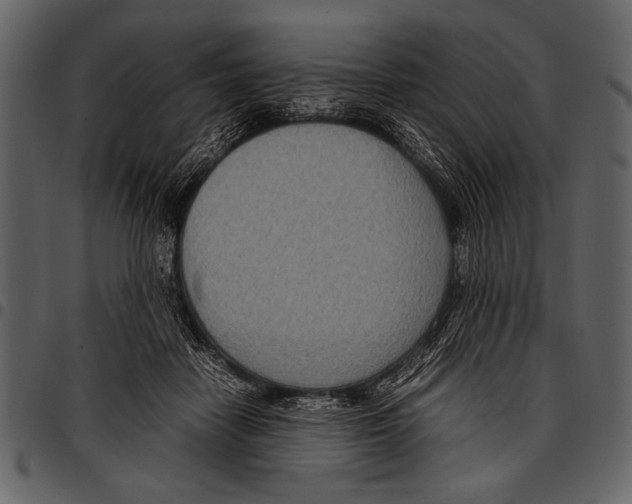 X0000097480458200803201513