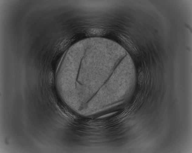 X0000097480459200803201513