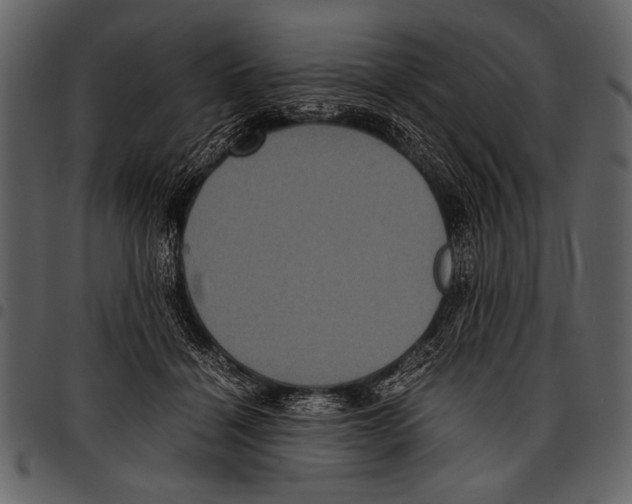 X0000097480460200803201513