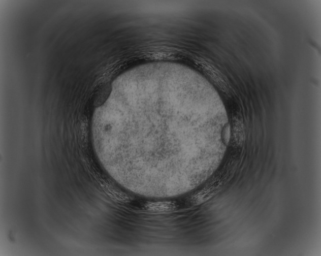 X0000097480461200803201513