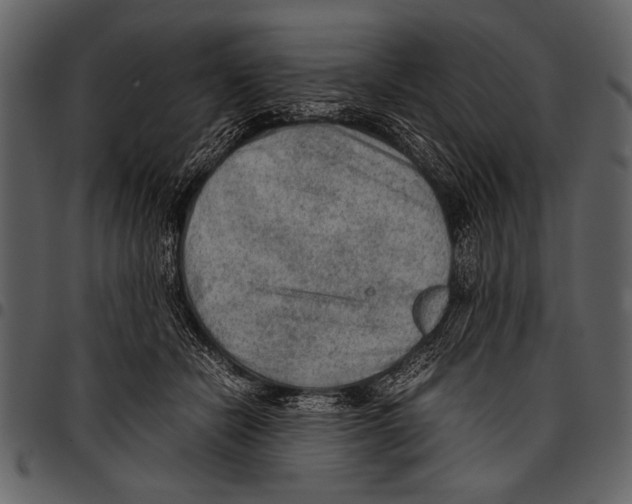 X0000097480462200803201513