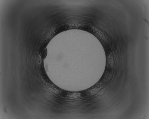 X0000097480463200803201513