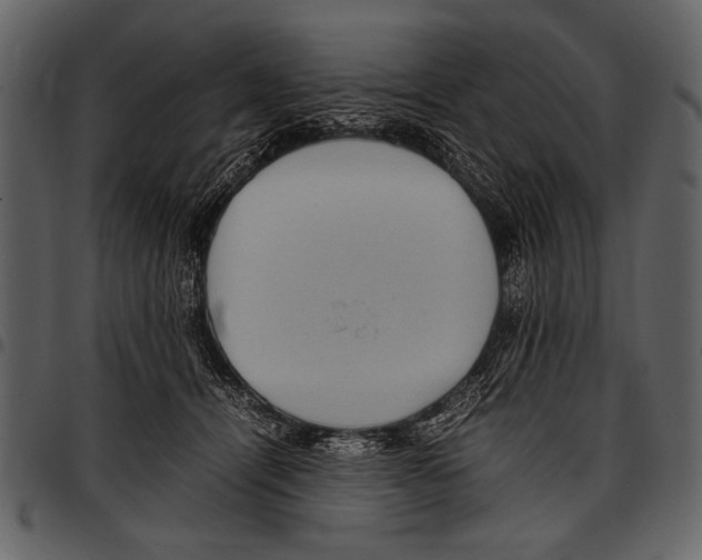 X0000097480464200803201513