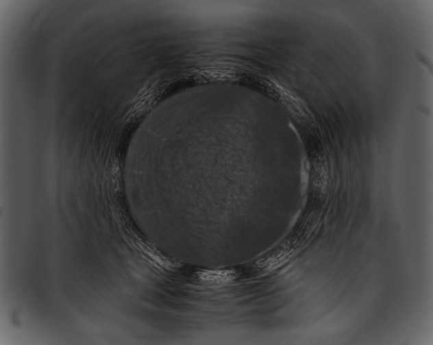 X0000097480465200803201513