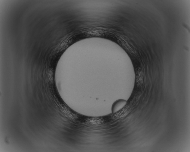 X0000097480466200803201513