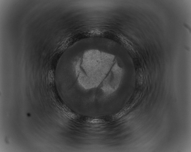 X0000097480467200803201513