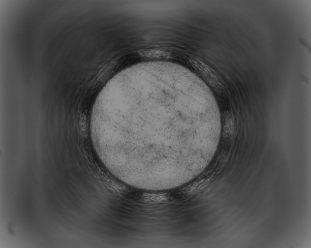 X0000097480469200803201513