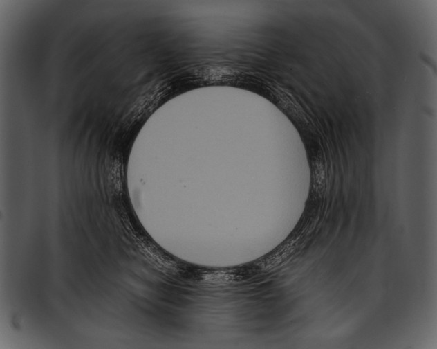 X0000097480470200803201513