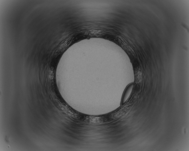 X0000097480472200803201513