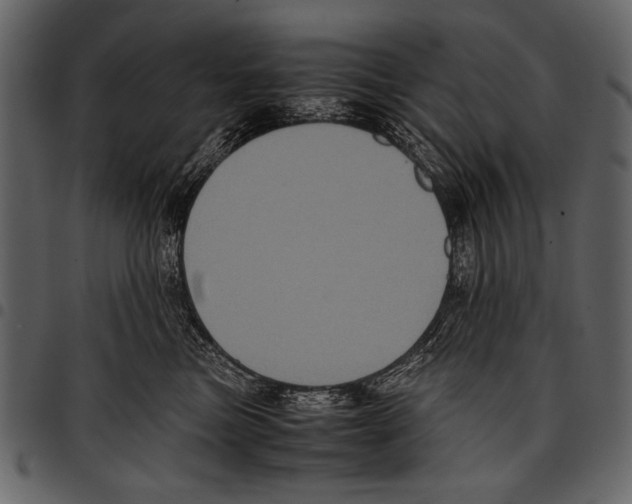 X0000097480473200803201513