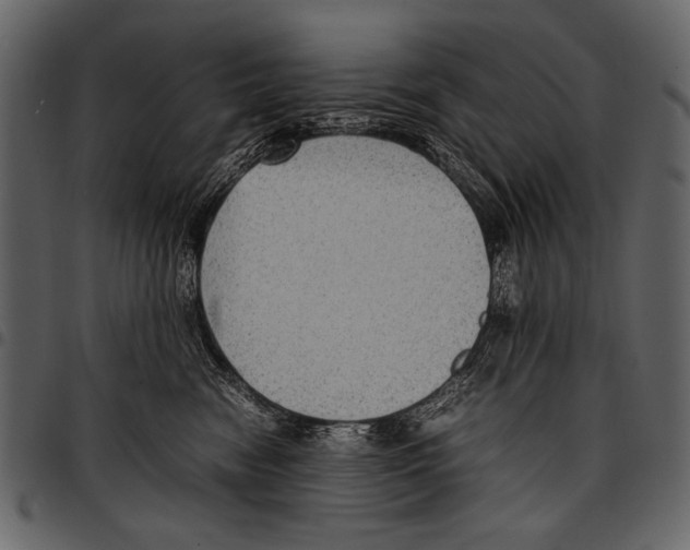 X0000097480474200803201513