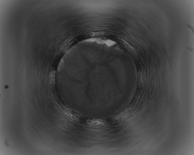 X0000097480475200803201513