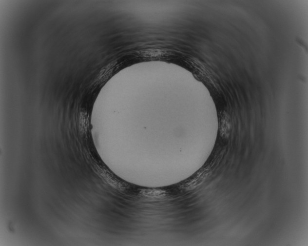 X0000097480476200803201513