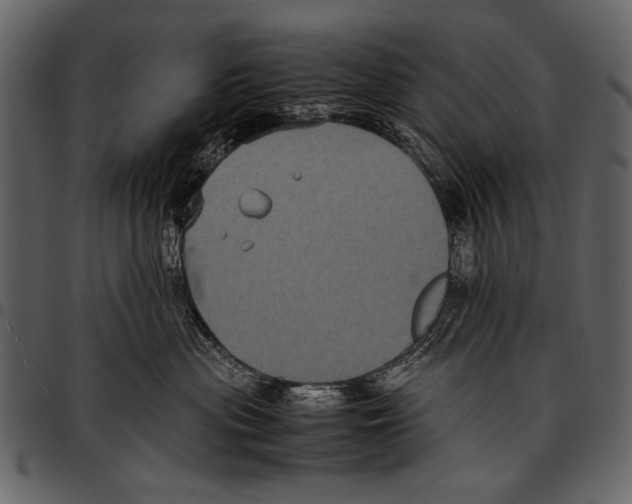 X0000097480477200803201513