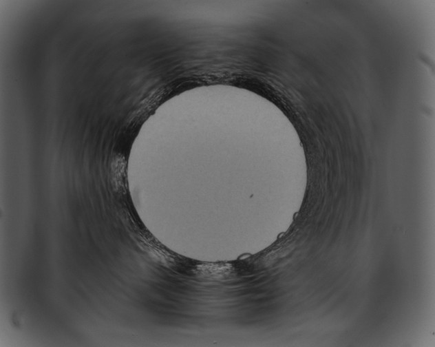 X0000097480480200803201513