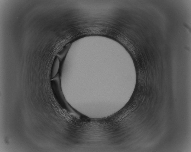 X0000097480481200803201512