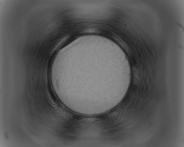 X0000097480482200803201512