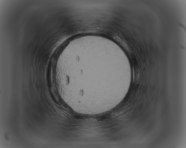 X0000097480483200803201512