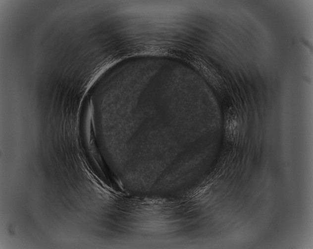 X0000097480484200803201512