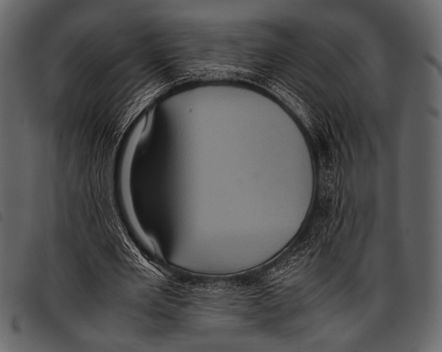 X0000097480485200803201512