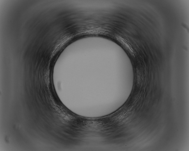 X0000097480486200803201512