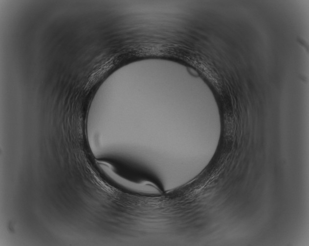 X0000097480489200803201512