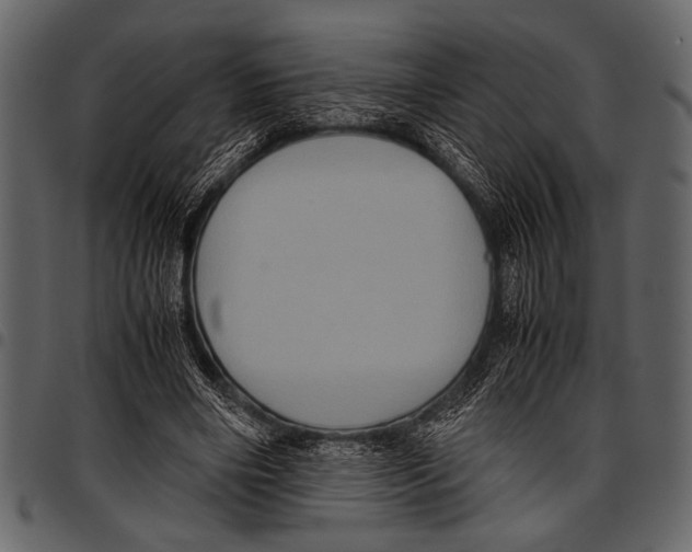 X0000097480490200803201512