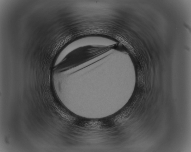 X0000097480493200803201512