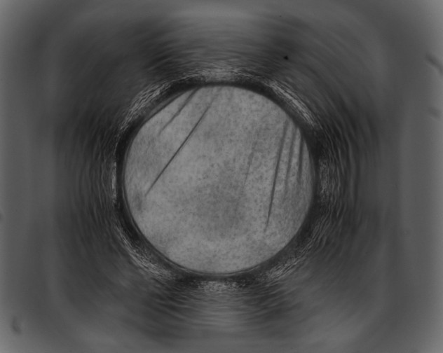 X0000097480494200803201512