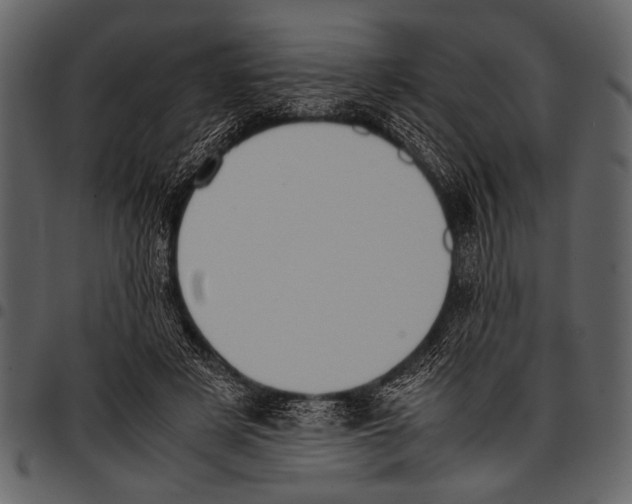 X0000097480497200803201512