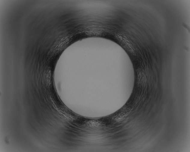 X0000097480498200803201512