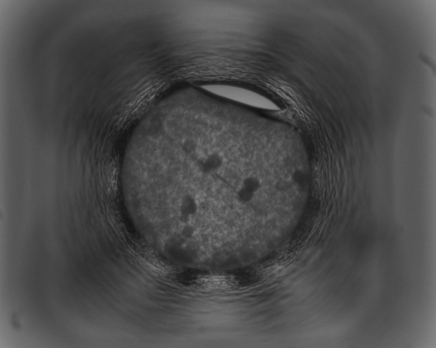 X0000097480499200803201512