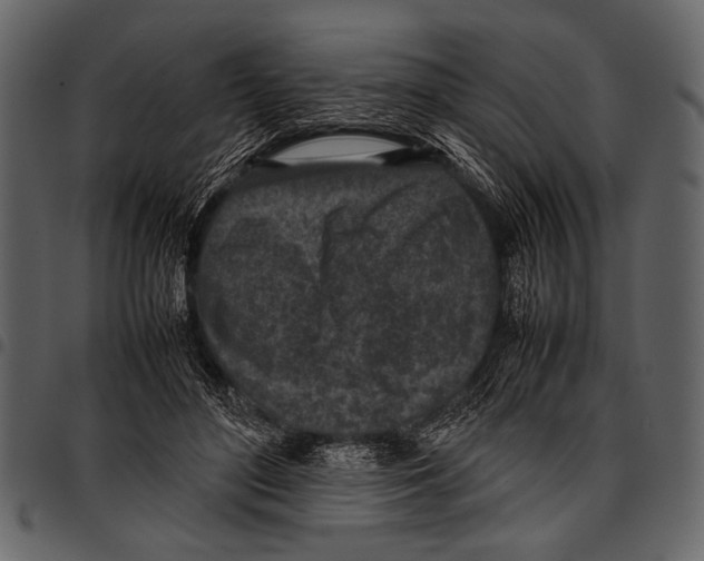 X0000097480500200803201512