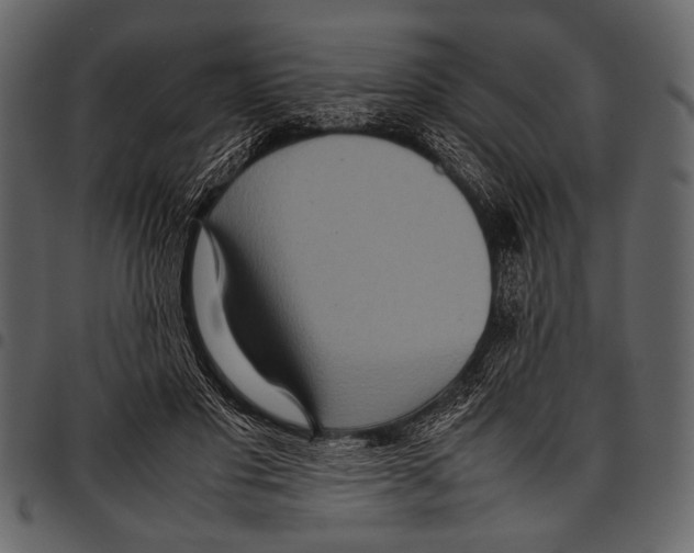 X0000097480501200803201512