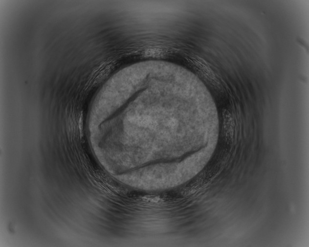 X0000097480502200803201512