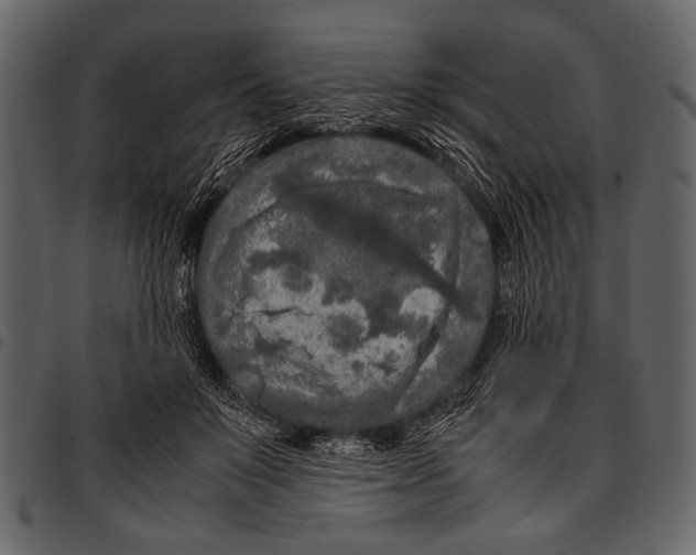 X0000097480503200803201512