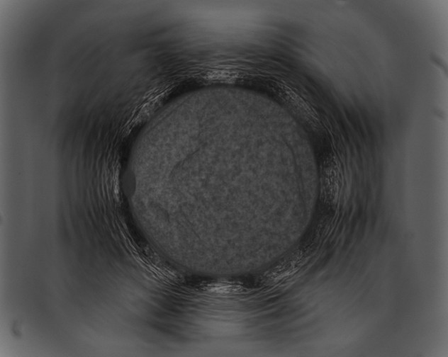 X0000097480504200803201512