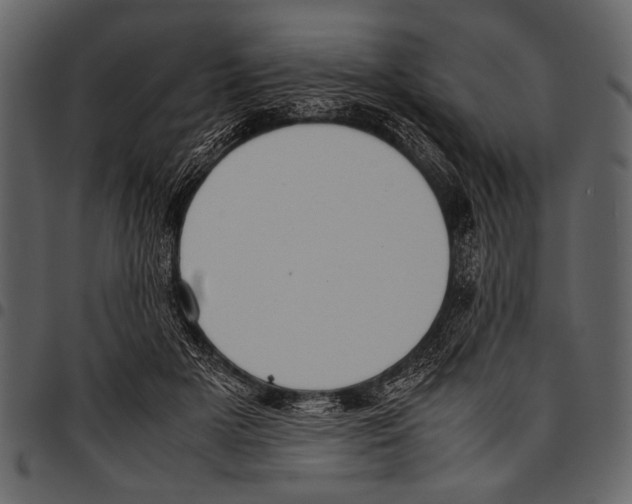 X0000097480505200803201512