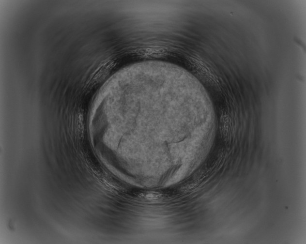 X0000097480506200803201512