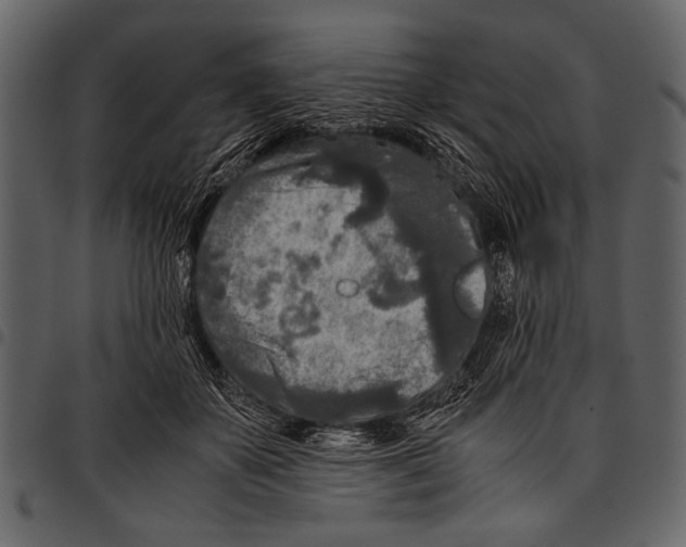 X0000097480507200803201512