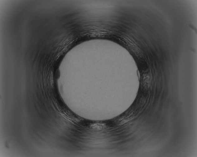 X0000097480508200803201512