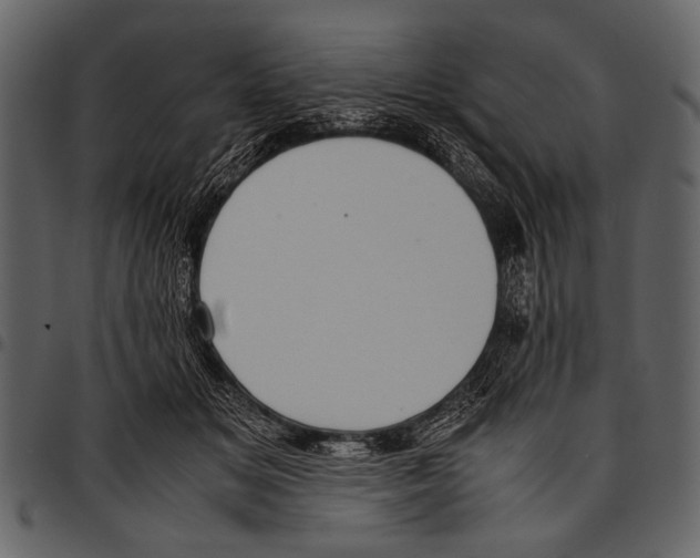 X0000097480509200803201512