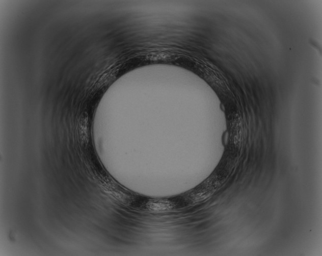 X0000097480510200803201512