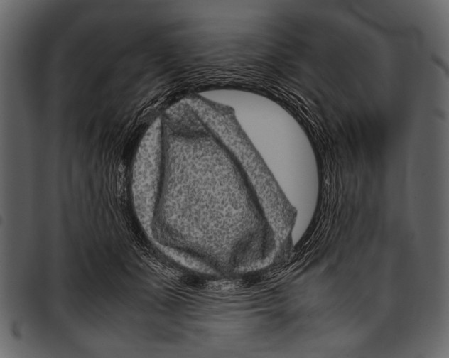 X0000097480511200803201512