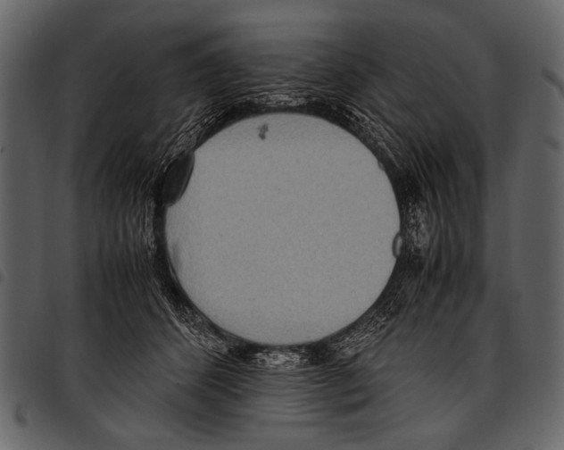 X0000097480512200803201512